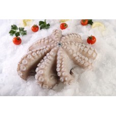 Октопод Мароко цял почистен 4000-5000g 9 kg Нордик